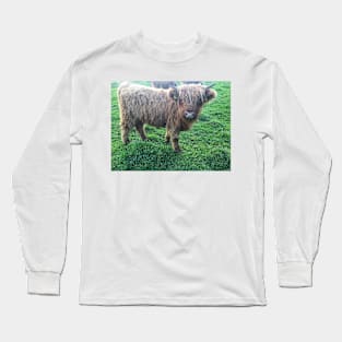 Scottish Highland Cattle Calf 2107 Long Sleeve T-Shirt